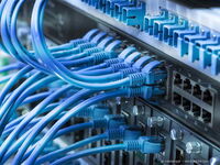 Patch: (C) xiaoliangge - stock.adobe.com